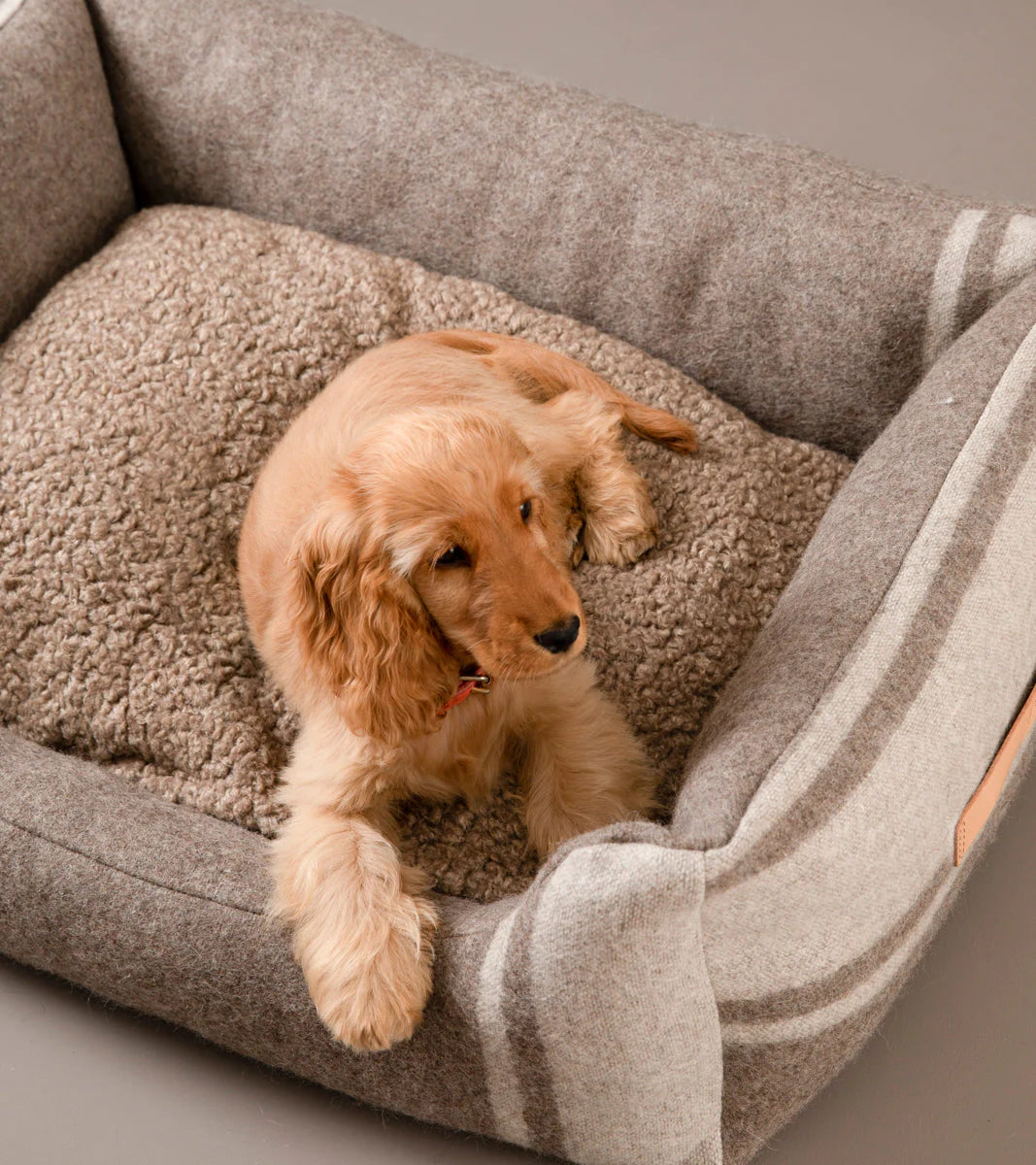 🇮🇹予約商品🇮🇹　正規取扱店【2.8】HENRI RECYCLED WOOL DOG BED _Natural  White