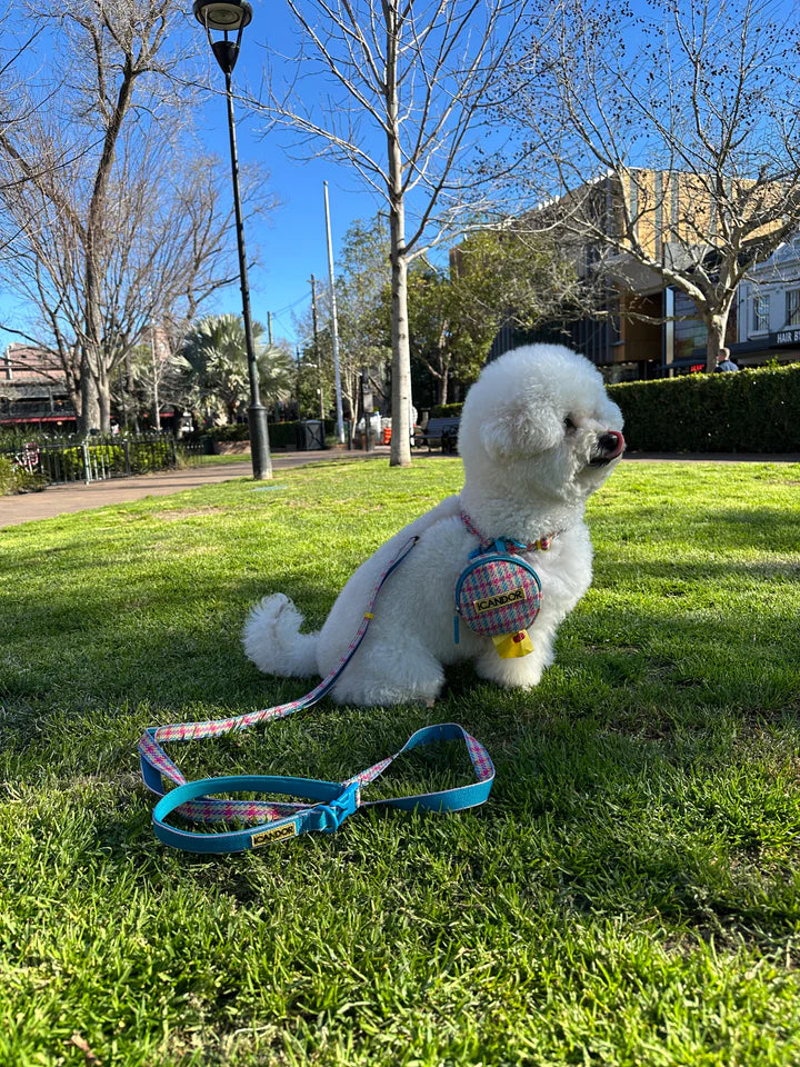 NEW｜即納【iCANDOR】No-Pull Harness｜Edinburgh Check 　※LIMITED COLOR