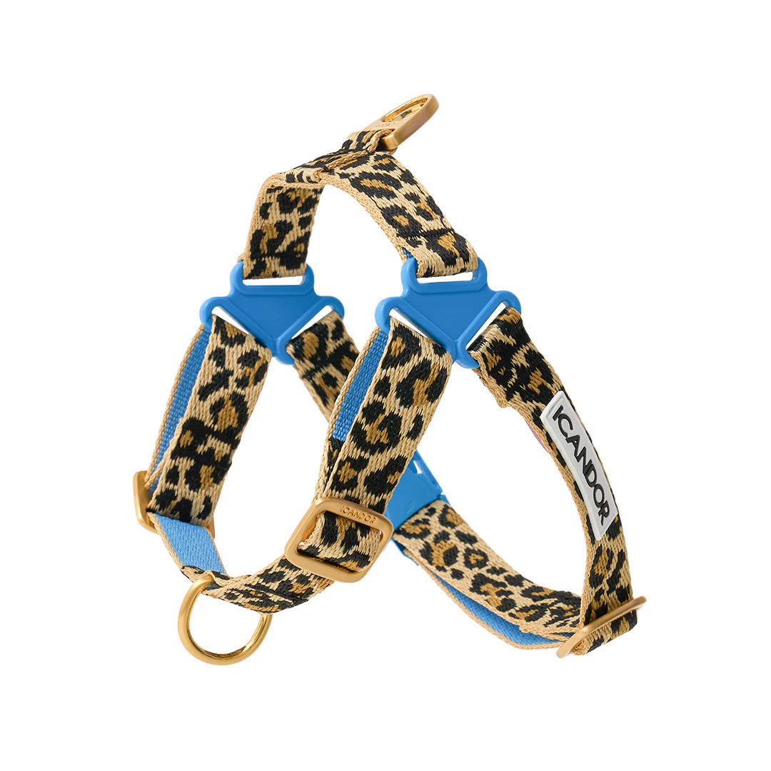 ★即納【正規販売店】iCANDOR No-Pull Harness _LEOPARD