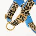 Gallery viewerに画像を読み込む, ★即納【正規販売店】iCANDOR No-Pull Harness _LEOPARD
