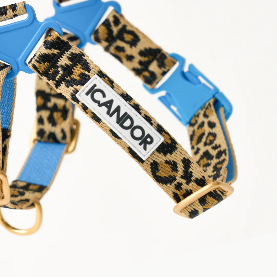 ★即納【正規販売店】iCANDOR No-Pull Harness _LEOPARD