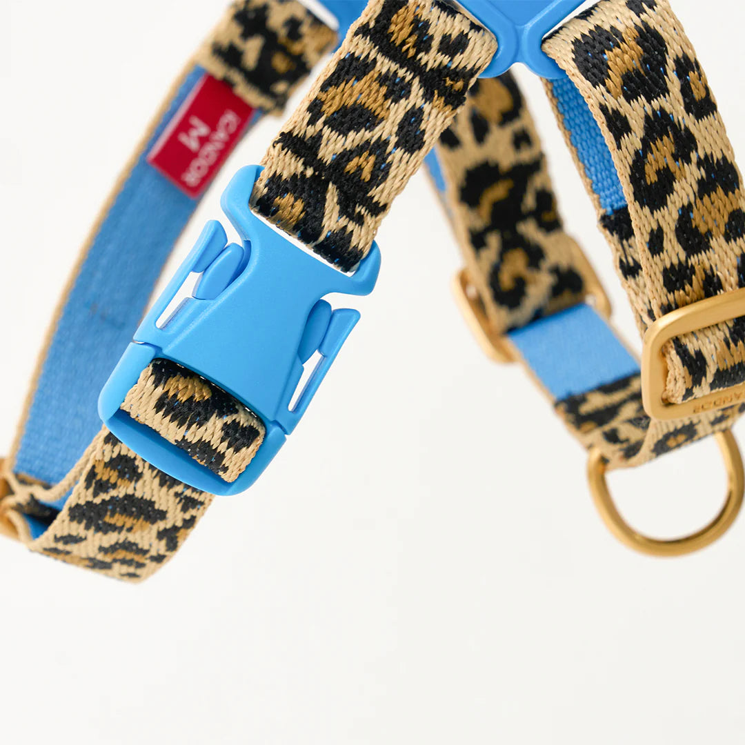 ★即納【正規販売店】iCANDOR No-Pull Harness _LEOPARD
