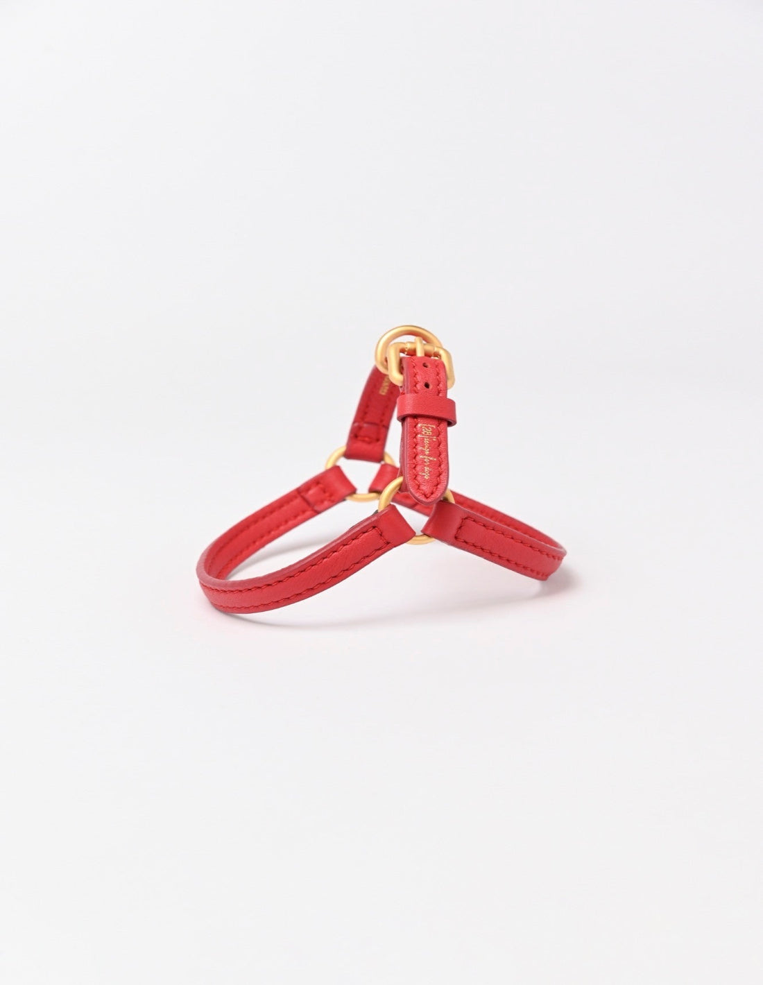 🇮🇹予約商品🇮🇹　正規取扱店【2.8】MARIO HARNESS