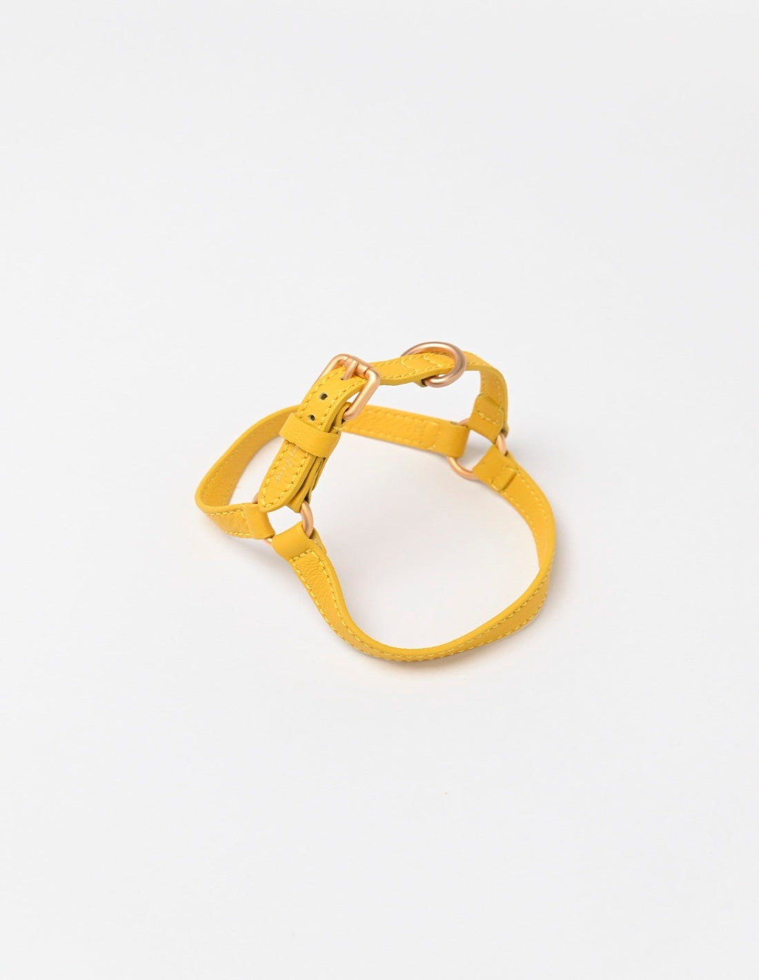 🇮🇹予約商品🇮🇹　正規取扱店【2.8】MARIO HARNESS