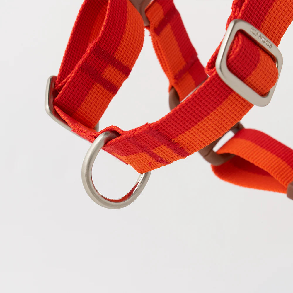 ★即納【正規販売店】iCANDOR No-Pull Harness _ SUNSET