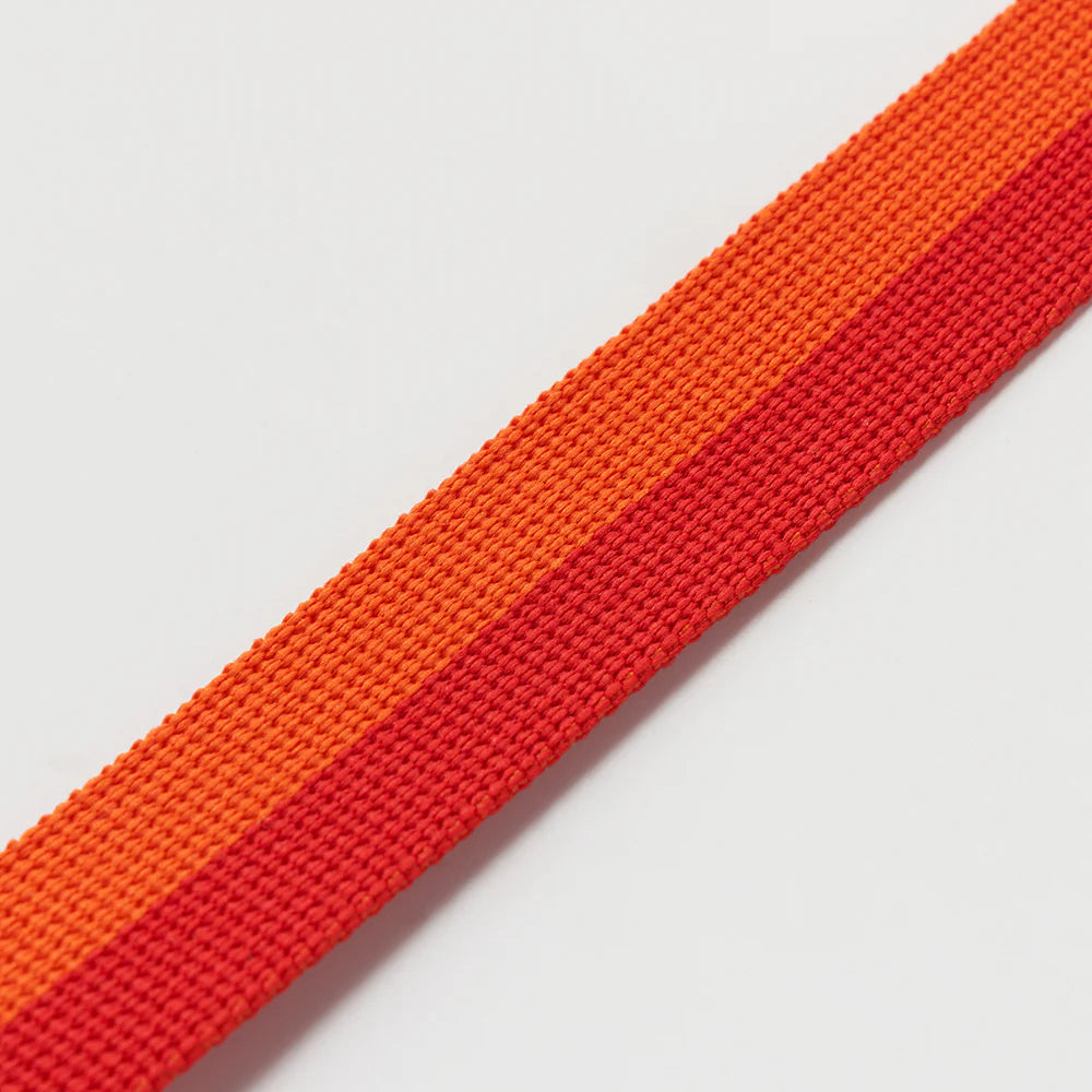 ★即納【正規販売店】iCANDOR No-Pull Harness _ SUNSET