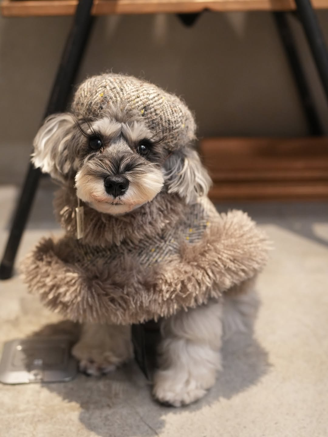 予約商品【BONDIR】Sable Cape ｜※Alpaca Wool Tweed