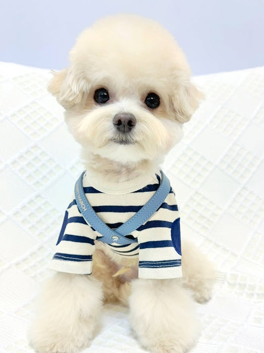 NEW｜予約商品【BERRY MARCH】INFINITY HARNESS｜Nordic Blue