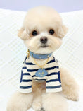 Gallery viewerに画像を読み込む, NEW｜即納【BERRY MARCH】Stella Collar｜Nordic Blue
