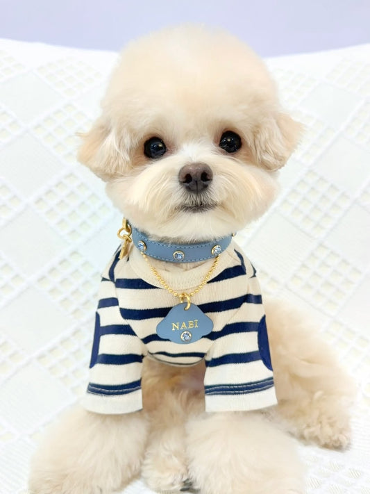 NEW｜即納【BERRY MARCH】Stella Collar｜Nordic Blue