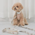 Gallery viewerに画像を読み込む, ★NEW★【予約商品】🧸Bailey Pet  TEDDY WARKIE_Leash__アイボリー
