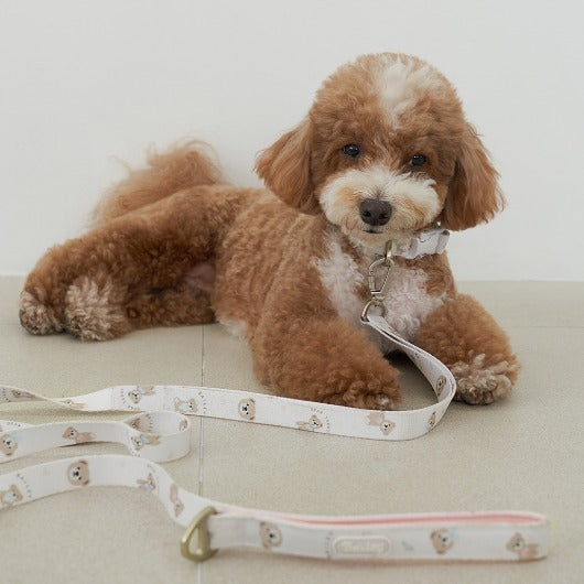 ★NEW★【予約商品】🧸Bailey Pet  TEDDY WARKIE_Leash_ピンク