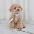 Gallery viewerに画像を読み込む, ★NEW★【予約商品】🧸Bailey Pet  TEDDY WARKIE_Leash__アイボリー
