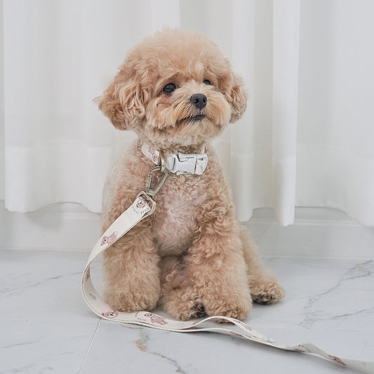 ★NEW★【予約商品】🧸Bailey Pet  TEDDY WARKIE_Leash__アイボリー