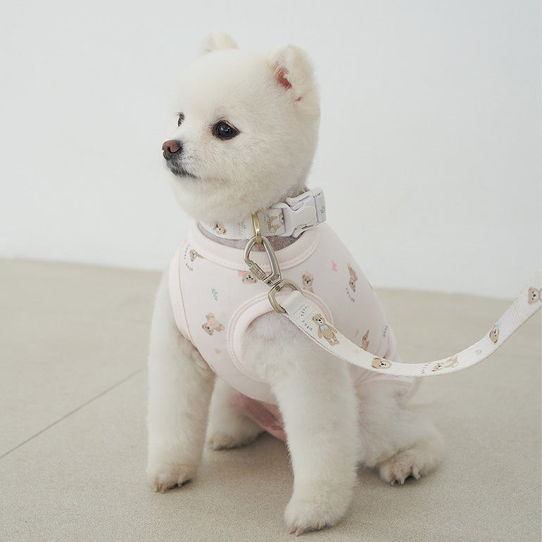 ★NEW★【予約商品】🧸Bailey Pet  TEDDY WARKIE_Leash_ピンク