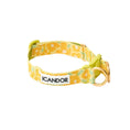 Gallery viewerに画像を読み込む, ★即納【正規販売店】iCANDOR   Gentle Collar Dual＿ BIG FISH YELLOW
