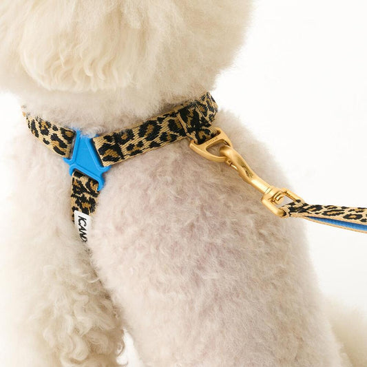 即納【iCANDOR 】No-Pull Harness｜LEOPARD