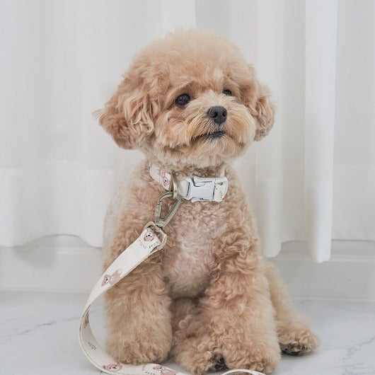 ★NEW★【予約商品】🧸Bailey Pet  TEDDYウォーキーcollar_アイボリー