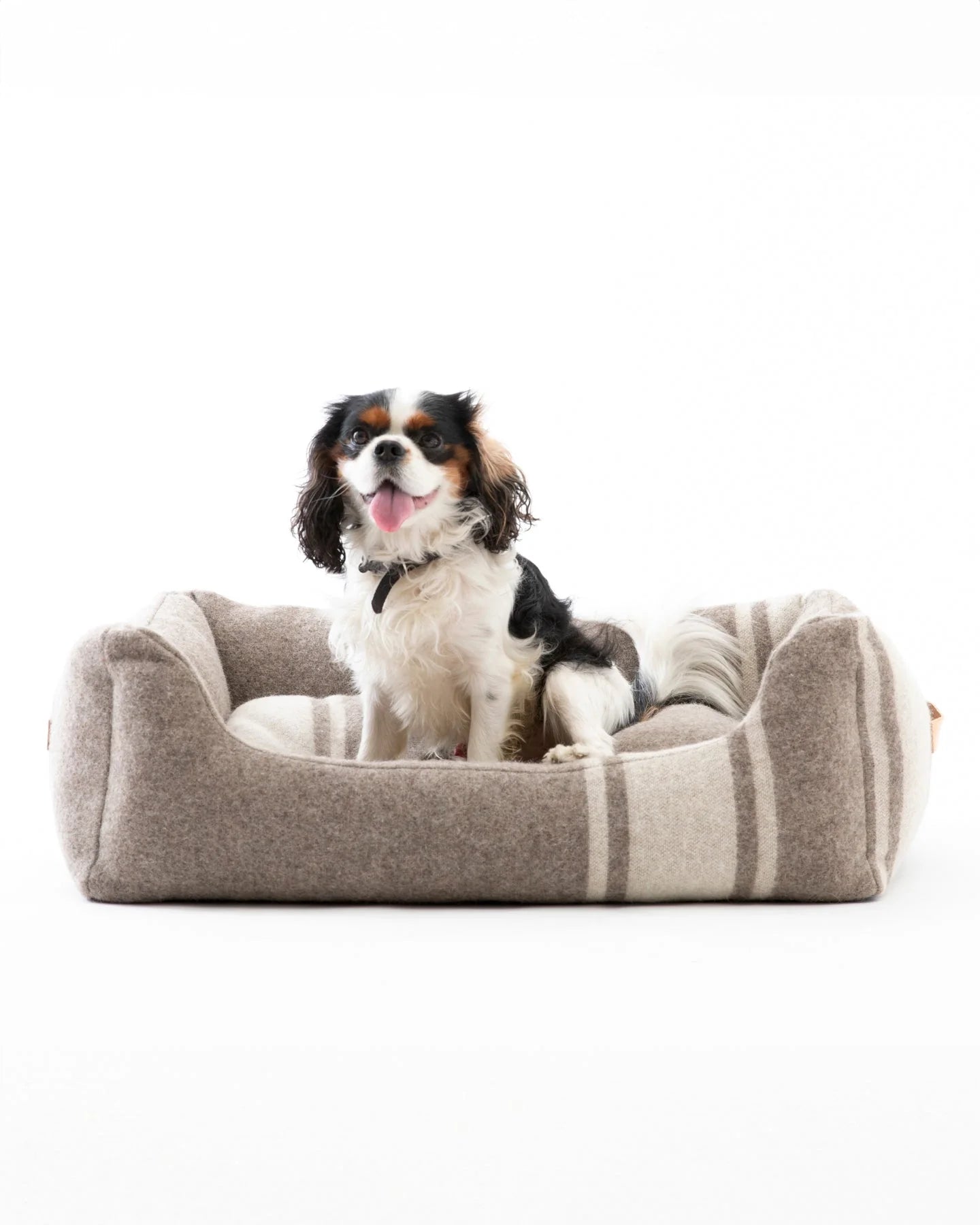 🇮🇹予約商品🇮🇹　正規取扱店【2.8】HENRI RECYCLED WOOL DOG BED _Natural  White