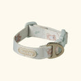 Gallery viewerに画像を読み込む, ★NEW★【予約商品】🧸Bailey Pet  TEDDYウォーキーcollar_アイボリー
