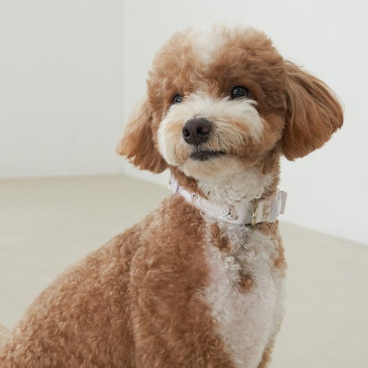 ★NEW★【予約商品】🧸Bailey Pet  TEDDYウォーキーcollar_ピンク