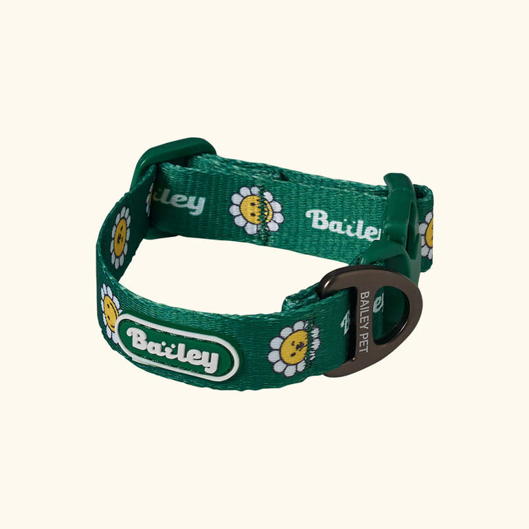 ★NEW★【予約商品】デイジー　ウォーキーcollar_グリーン
