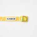 Gallery viewerに画像を読み込む, ★即納【正規販売店】iCANDOR   Gentle Collar Dual＿ BIG FISH YELLOW
