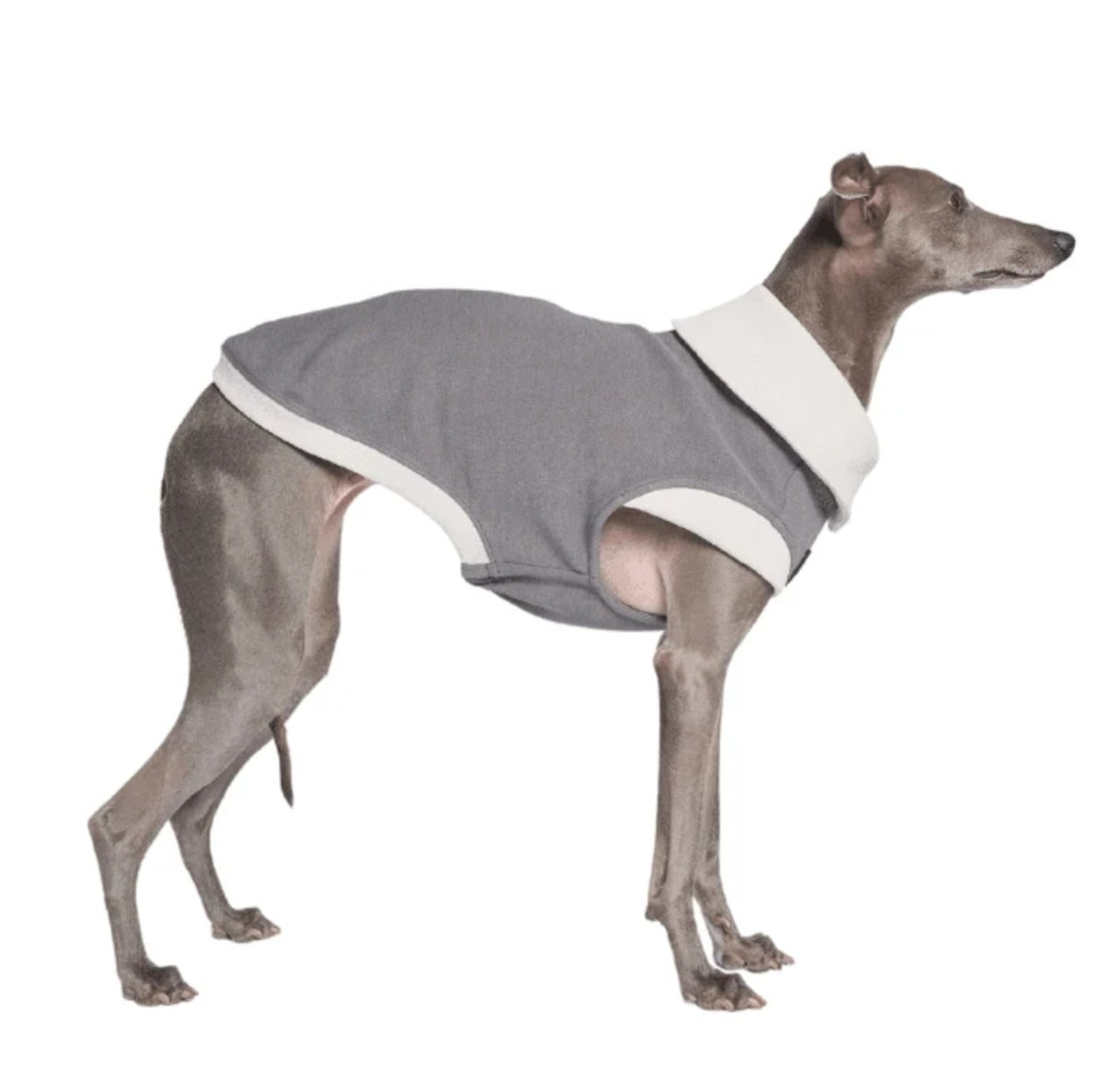 予約商品｜NEW 【BONDIR】GRAPHITE TANK TOP