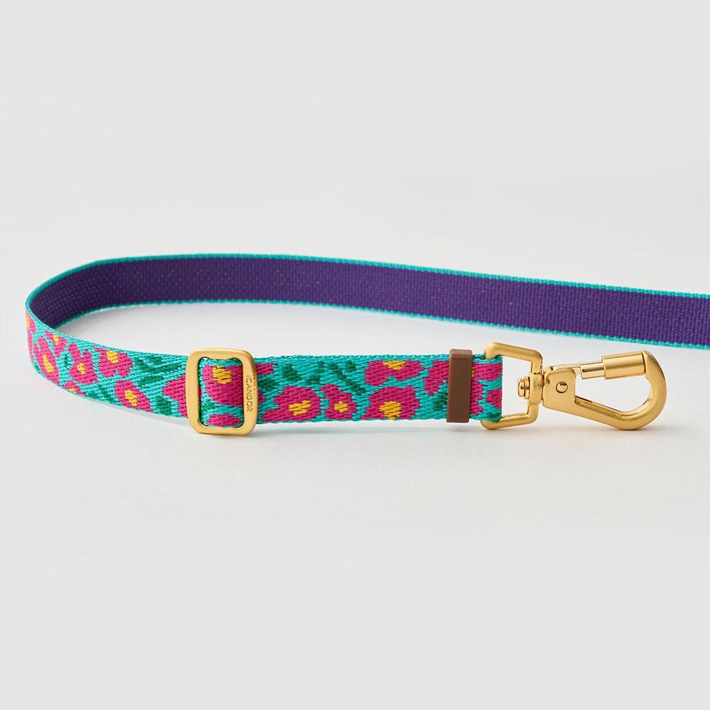 ★即納【正規販売店】iCANDOR  Gentle Leash Bolt＿BIG FISH MINT