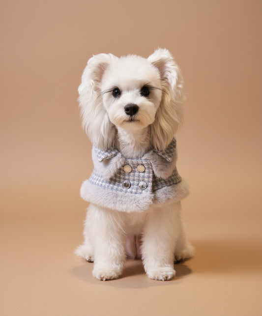 ★予約商品★【BONDIR】EVERGREEN DOUBLE COLLAR COAT ※送料込み