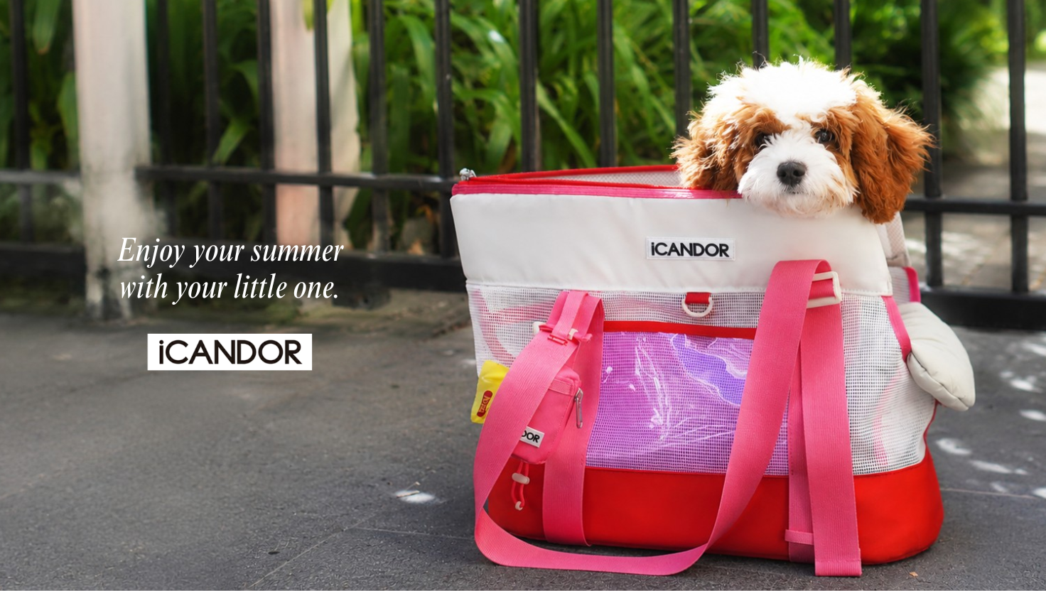 iCANDOR|正規取扱店|SHINY DOG CLOSET iCANDOR|正規取扱店|SHINY DOG CLOSET