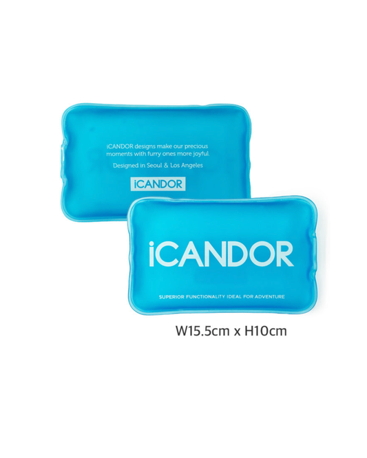 NEW ｜即納【iCANDOR】SNOW BUDDY ICE PACK