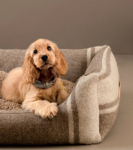 🇮🇹予約商品🇮🇹　正規取扱店【2.8】HENRI RECYCLED WOOL DOG BED _Natural  White