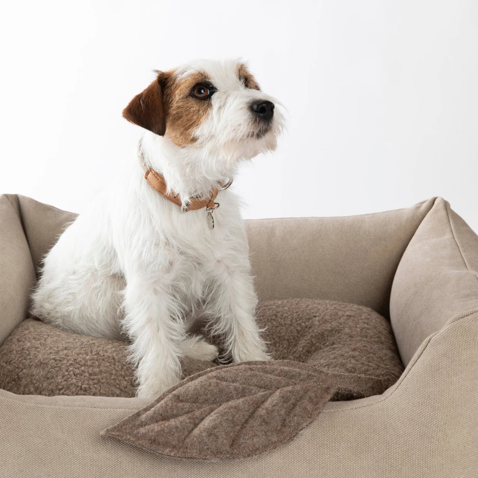 🇮🇹予約商品🇮🇹　正規取扱店【2.8】HENRI ORGANIC COTTON DOG BED