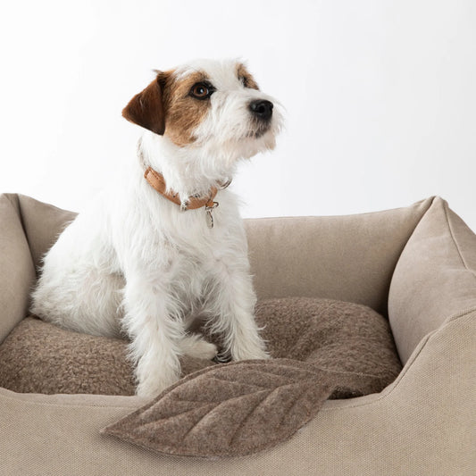 🇮🇹予約商品🇮🇹　正規取扱店【2.8】HENRI ORGANIC COTTON DOG BED